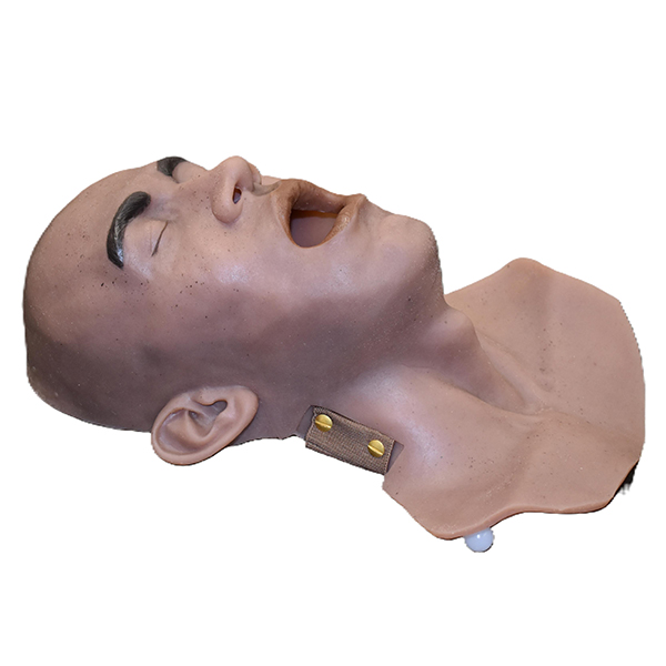 Face Skin (Regular) - Image 3