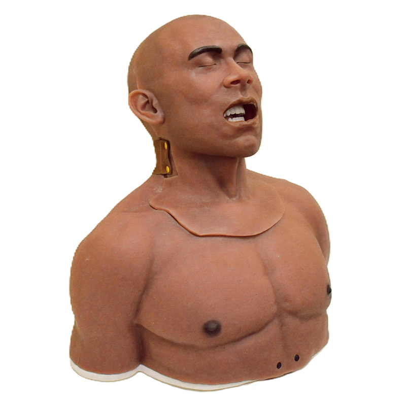 Torso Airway Trainer (Novice) - Image 2