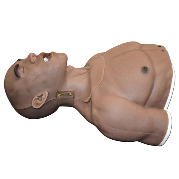 Torso Airway Trainer (Advanced) - Image 3