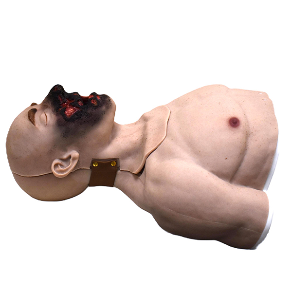 Burn Victim Torso Airway Trainer - Image 3