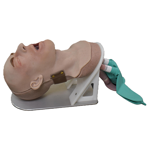 Swollen Victim Go-Light Airway Trainer - Image 2