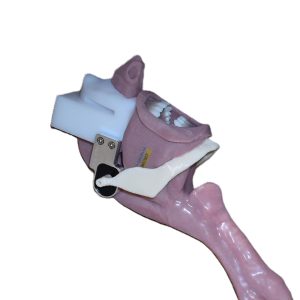 Caucasian Complete Airway Assembly (Novice)