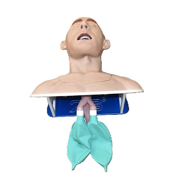 Partial Airway Trainer (Advanced)
