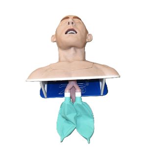 Partial Airway Trainer (Novice)