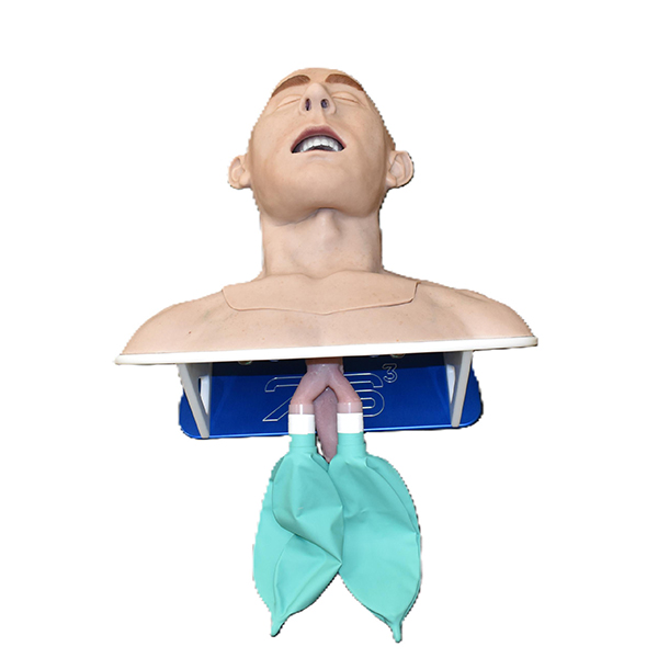 Partial Airway Trainer (Novice)