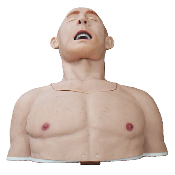Torso Airway Trainer (Novice)
