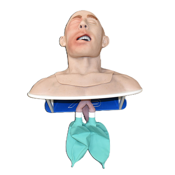Swollen Victim Partial Airway Trainer