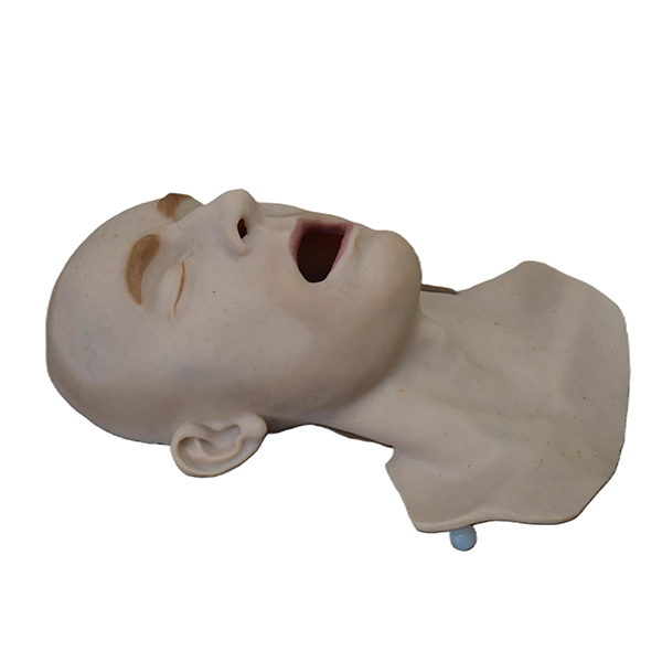 Face Skin (Regular) - Image 2