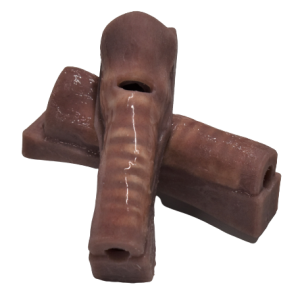 Replacement Trachea (For Cric Trainer)