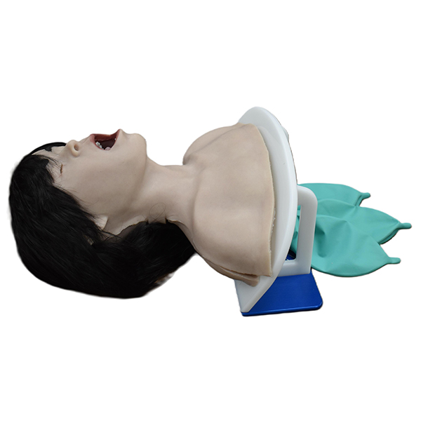 Pediatric Airway Skills Trainer - Image 2