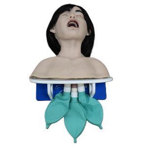 Pediatric Airway Skills Trainer