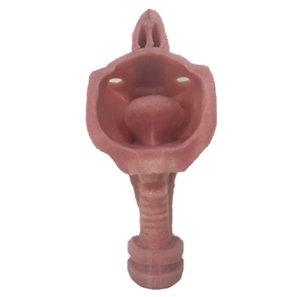 Pediatric Airway Skills Trainer - Image 5