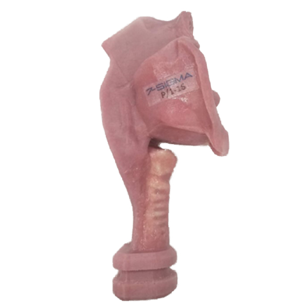 Pediatric Airway Skills Trainer - Image 4