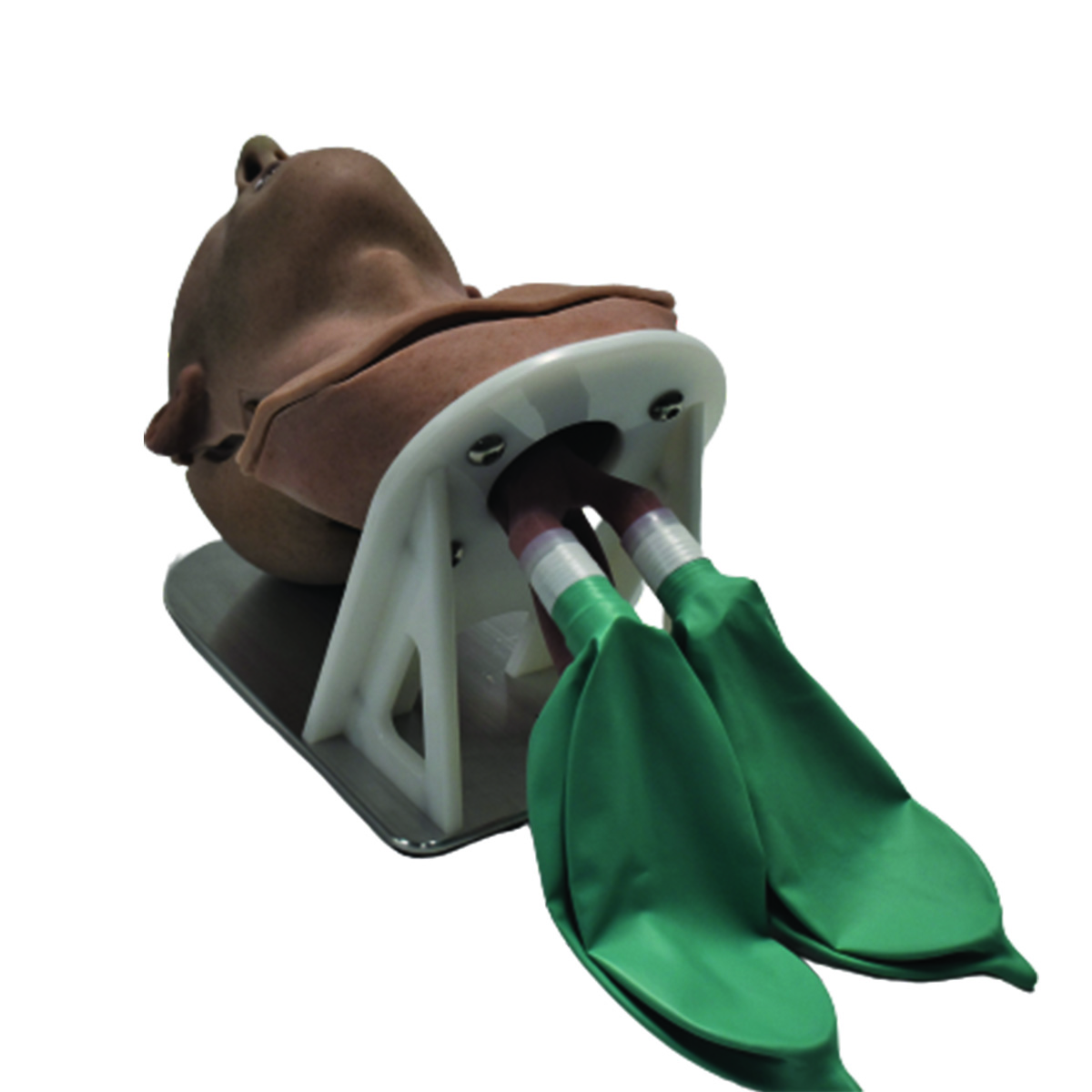 Go-Light Airway Trainer (Novice) - Image 3