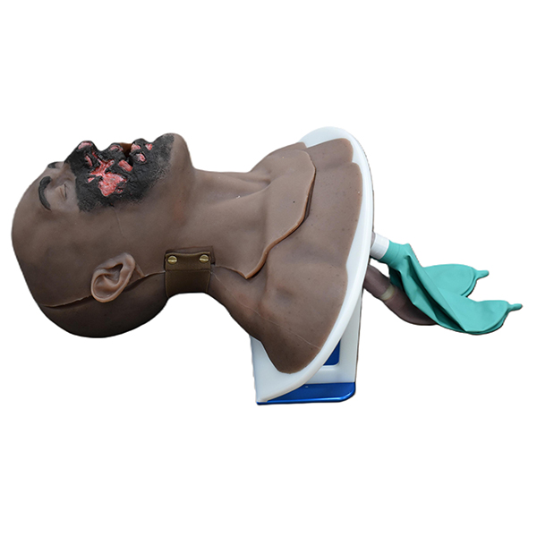 Burn Victim Partial Airway Trainer - Image 2