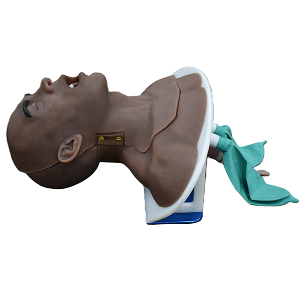 Partial Airway Trainer (Advanced) - Image 2