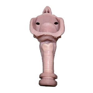 Child Trainer Replacement Airway