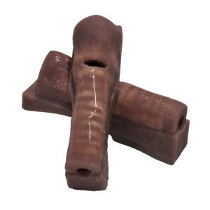 Replacement Trachea (For Cric Trainer)